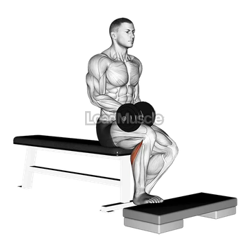 Dumbbell Seated One Leg Calf Raise