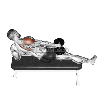 Dumbbell Side Lying One Hand Raise
