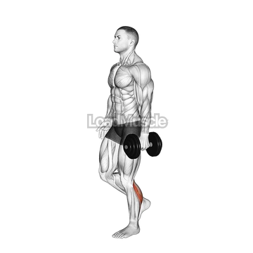 Dumbbell Single Leg Calf Raise