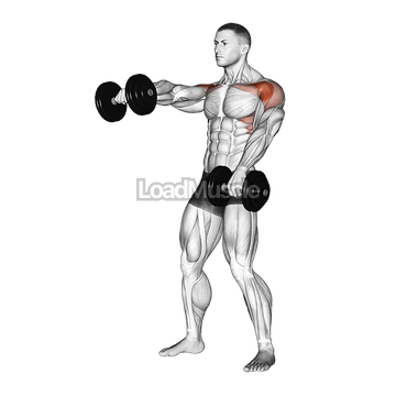 Dumbbell Standing Alternate Raise