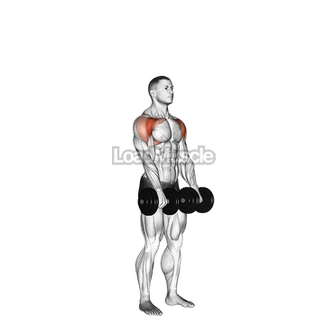 Dumbbell Standing Front Raise Above Head