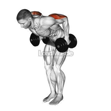 Dumbbell Standing Kickback