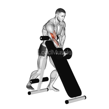 Dumbbell Standing One Arm Curl (over incline bench)