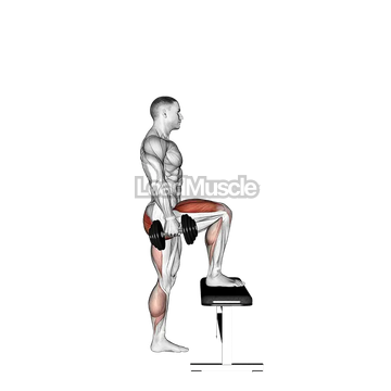 Dumbbell Step up