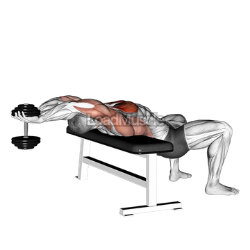 Dumbbell Straight Arm Pullover