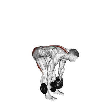 Dumbbell Straight Leg Deadlift