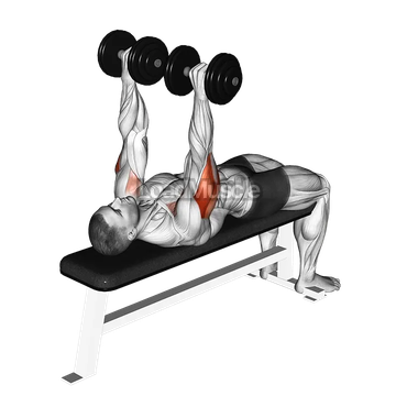 Dumbbell Tate Press