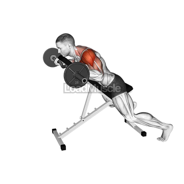 EZ Barbell Anti Gravity Press