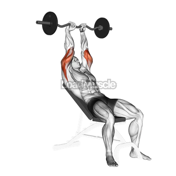 EZ Barbell Incline Triceps Extension