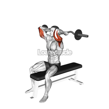 EZ Barbell Seated Triceps Extension