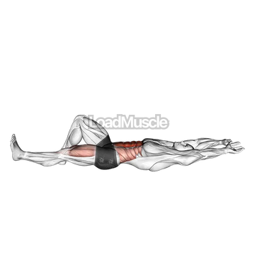 Flexion Leg Sit up (bent knee)