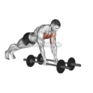 Floor Fly (with barbell)