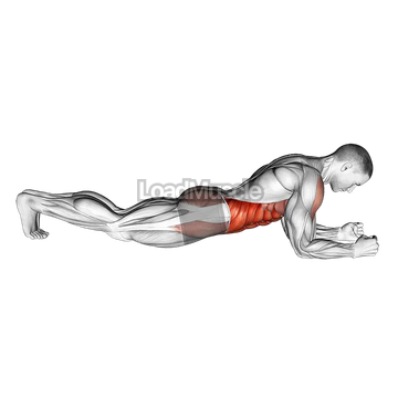 Front Plank