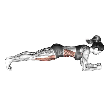 Front Plank