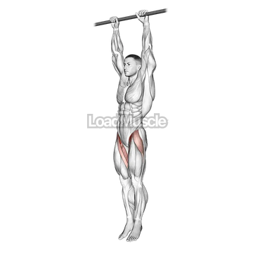 Hanging Leg Raise