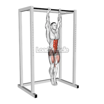 Hanging Straight Leg Raise