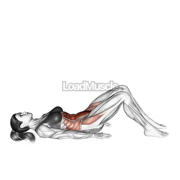 Hip Crunch (knees bent)