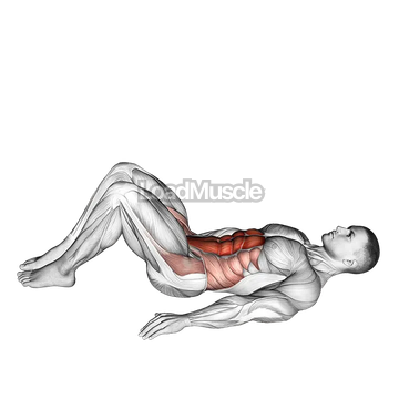 Hip Raise (bent knee)