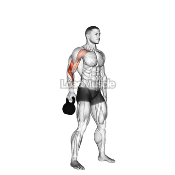 Kettlebell Bottoms Up Clean From The Hang Position