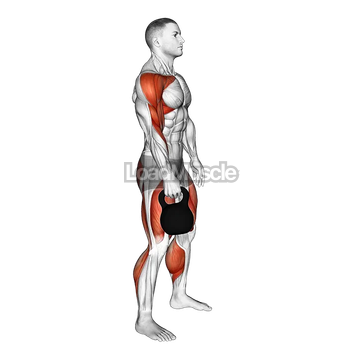 Kettlebell Hang Clean