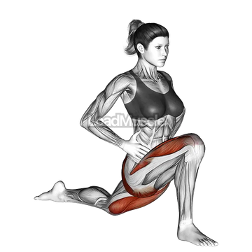 Kneeling Hip Flexor