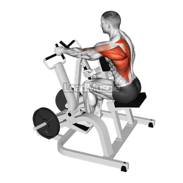 Lever Single Arm Neutral Grip Seated Row (plate loaded)