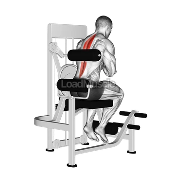 Lever Back Extension