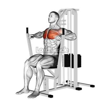 Lever Chest Press