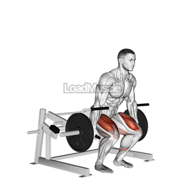 Lever Deadlift (plate loaded)