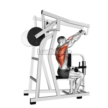 Lever High Row (plate loaded)