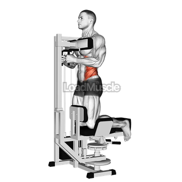 Lever Kneeling Twist