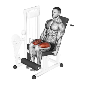 Lever Leg Extension