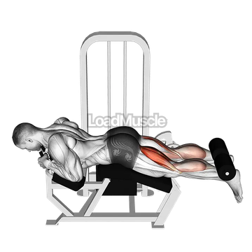 Lever Lying Leg Curl