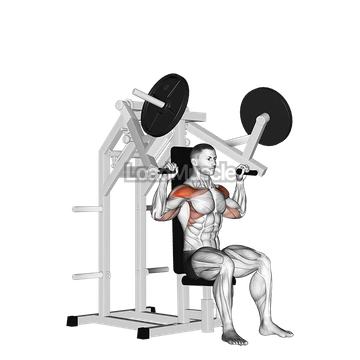 Lever Military Press (plate loaded)