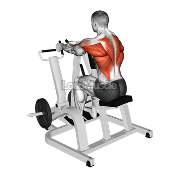Lever Neutral Grip Seated Row (plate loaded)