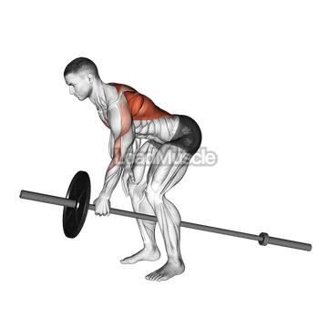 Lever One Arm Bent over Row (plate loaded)