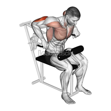 Lever Overhand Triceps Dip