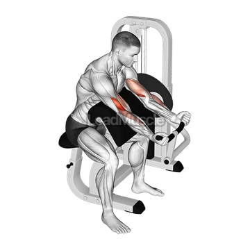 Lever Preacher Curl