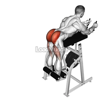 Lever Reverse Hyperextension (plate loaded)