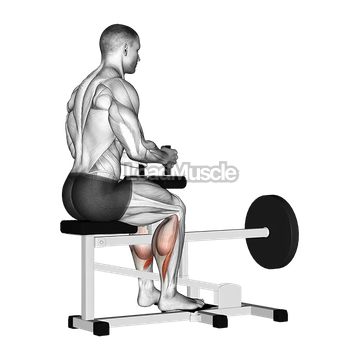 Lever Seated Calf Raise (plate loaded)