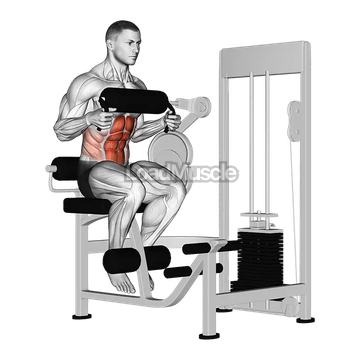 Lever Seated Crunch (chest pad)
