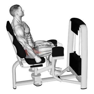 Lever Seated Hip Abduction