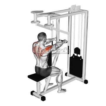 Lever Seated Reverse Fly