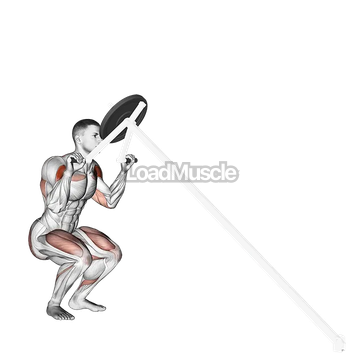 Lever Shoulder Press (plate loaded)