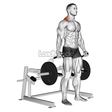 Lever Shrug (plate loaded)