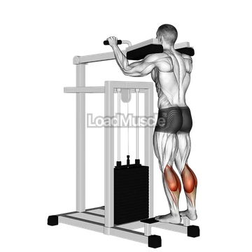 Lever Standing Calf Raise