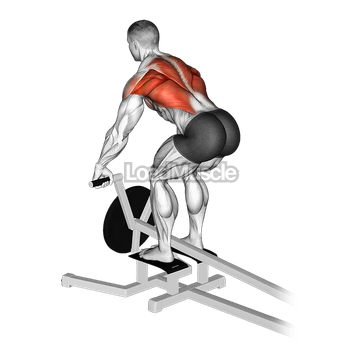 Lever T bar Row (plate loaded)