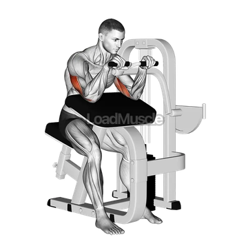 Lever Triceps Extension