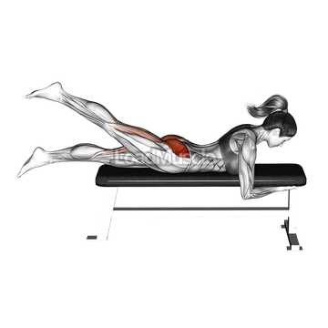 Lying Alternate Hip Extension