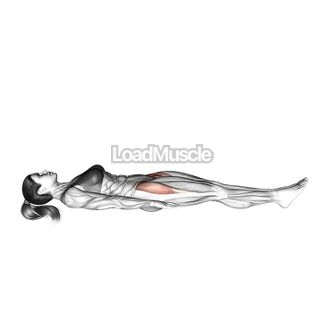 Lying Hip Leg Raise (on floor)